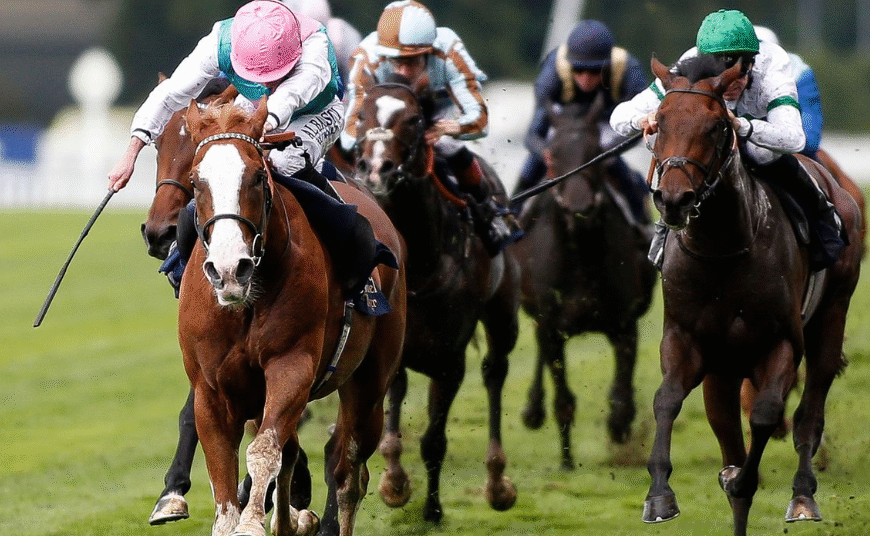 How Hoof Shape Affects Racing Performance