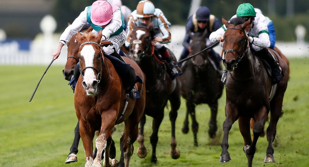 How Hoof Shape Affects Racing Performance