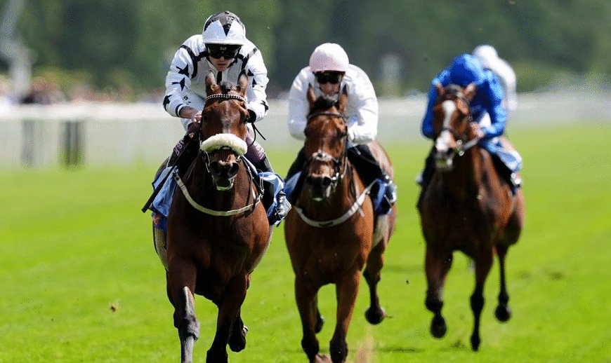 How Horse Racing Influences Festivals