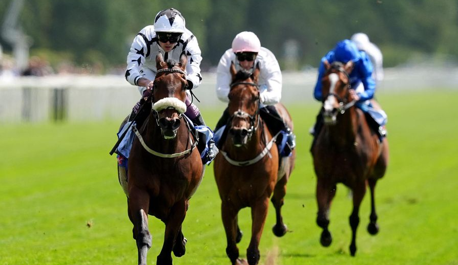 How Horse Racing Influences Festivals