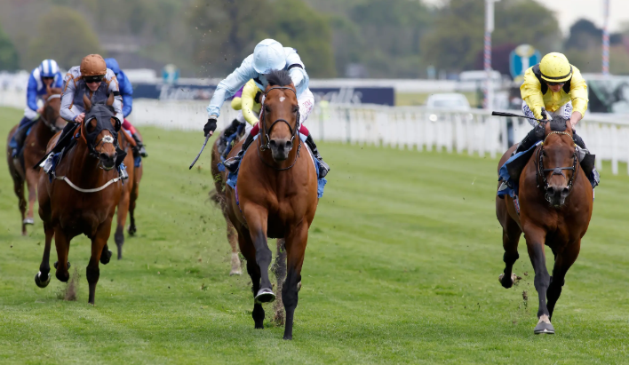 How Horse Racing Influences Local Cuisine