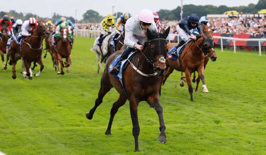 How Horse Racing Inspired Famous Books