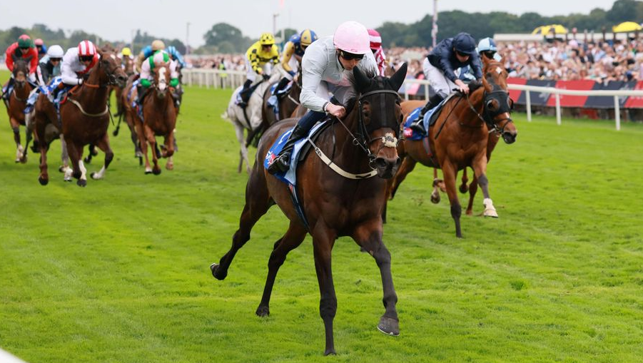 How Horse Racing Inspired Famous Books