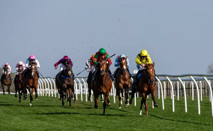 How Hoof Care Influences Breed Soundness